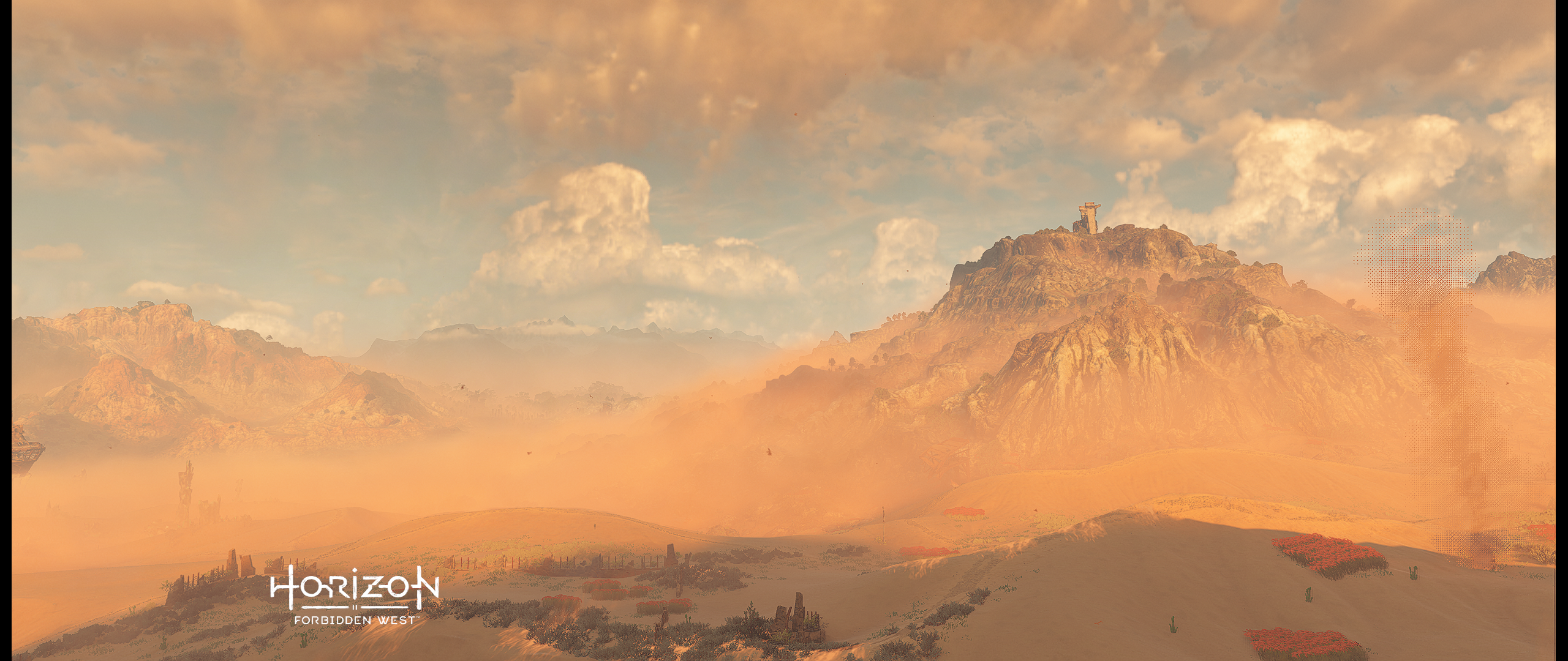 怪物猎人:荒野(bushi